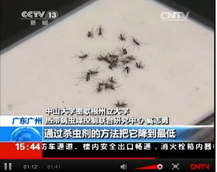 文章圖片