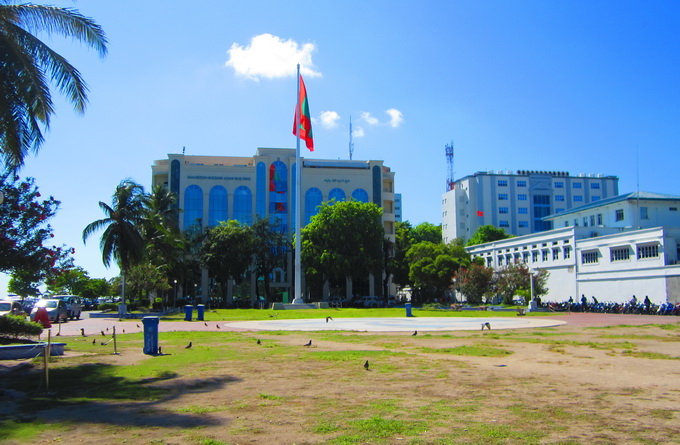 文章圖片