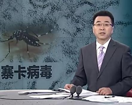 文章圖片