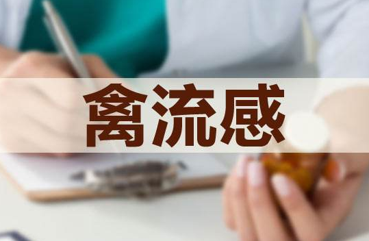 文章圖片