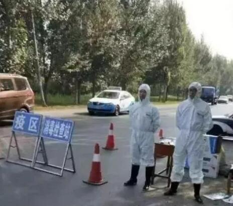 文章圖片